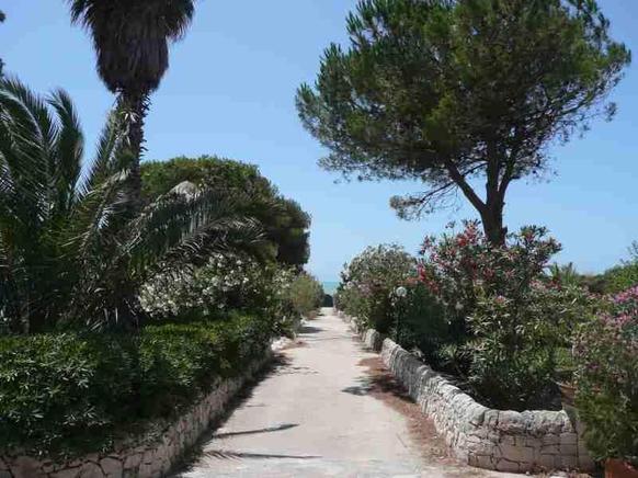 Weg zum Meer Weg zum Meer
